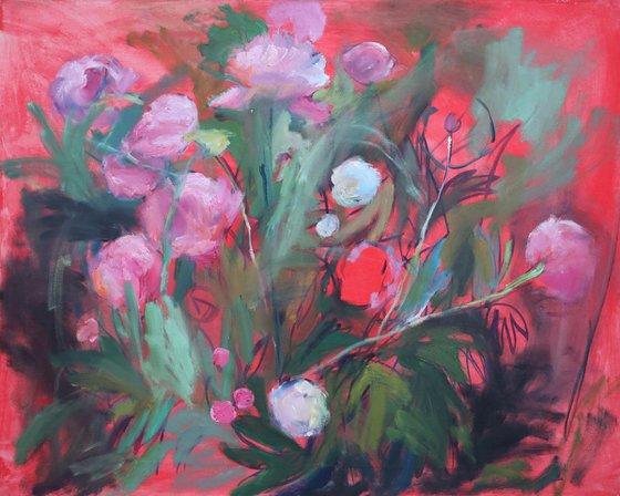 Peonies in red tones