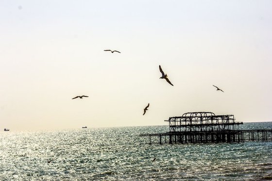 Brighton THE original pier (Limited edition  1/50) 12X8