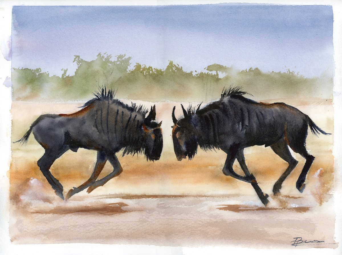 Expressive Animal Watercolour By Olga Tchefranov (Shefranov), 16 X 12", Clash Of The Wildebeests, Original Artwork