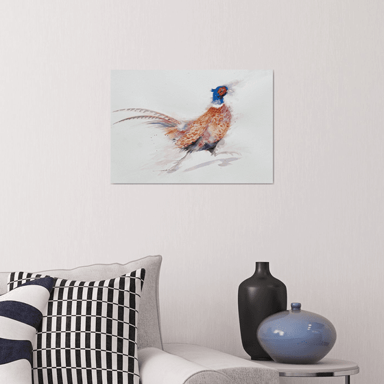 Speedy Sam Pheasant