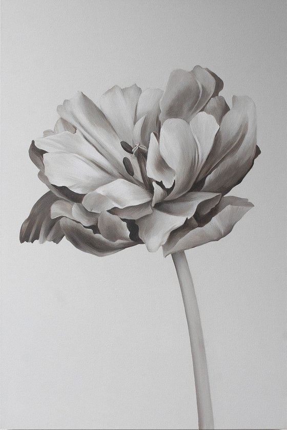 "Tulip" Black white oil flower