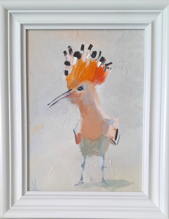 Hoopoe