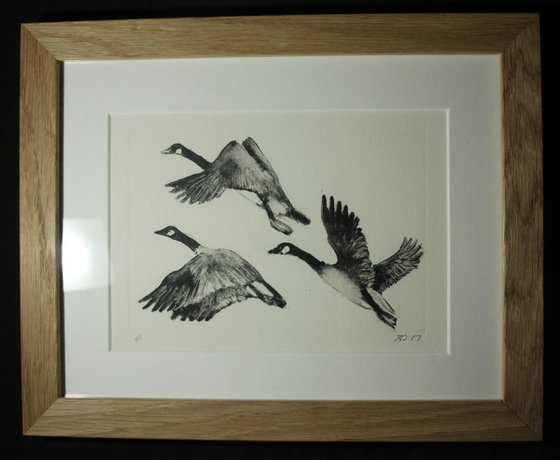 Flying Birds, Geese Monoprint, Monotype Print Framed