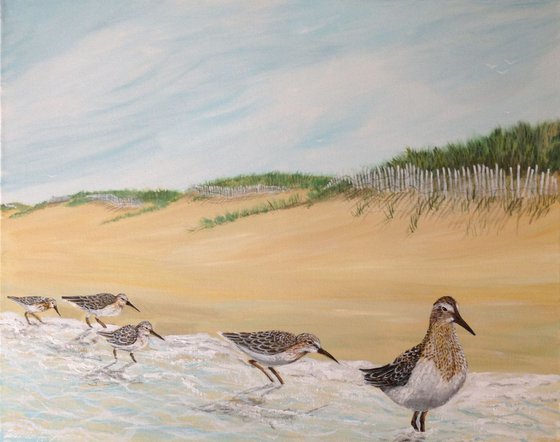 "Sand Piper Parade"