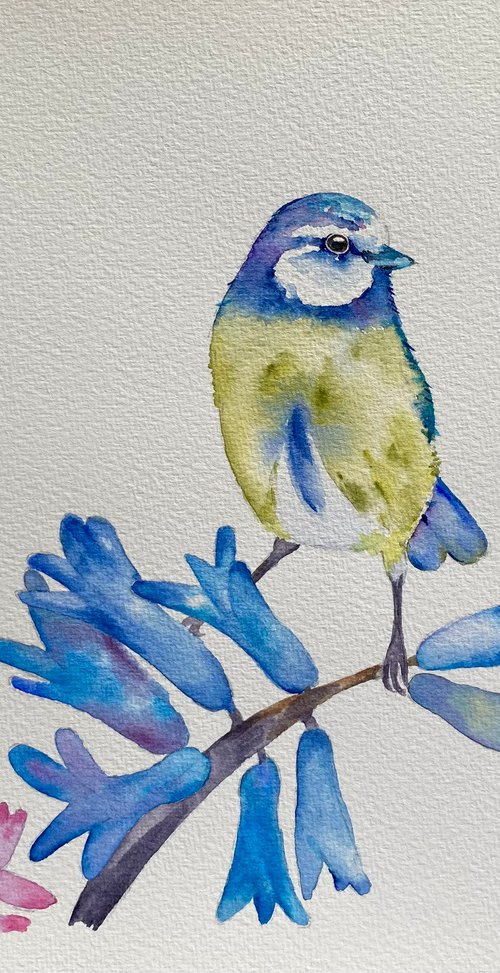 Blue tit and flowers painting by Bethany Taylor