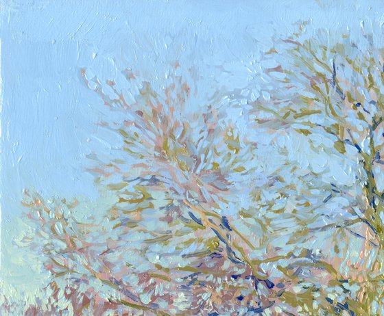In early spring. Willow tree