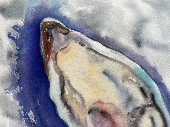 Oyster Watercolor Painting