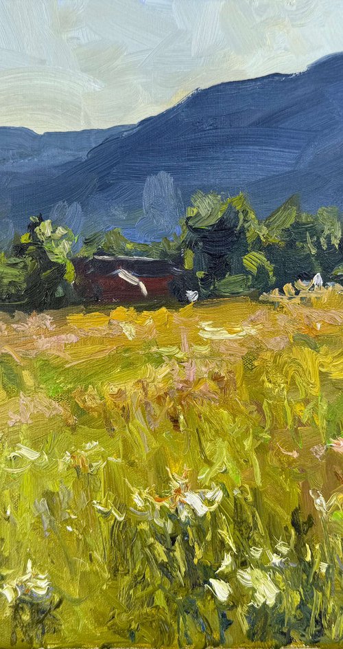 Summer Meadow by Nataliia Nosyk