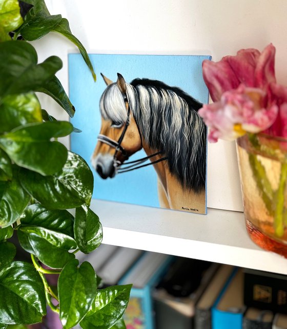 Horse Portrait 9