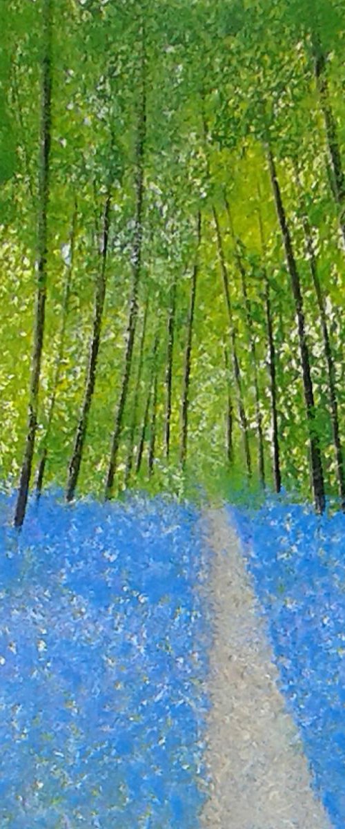 Bluebell Wood by Jan Rippingham