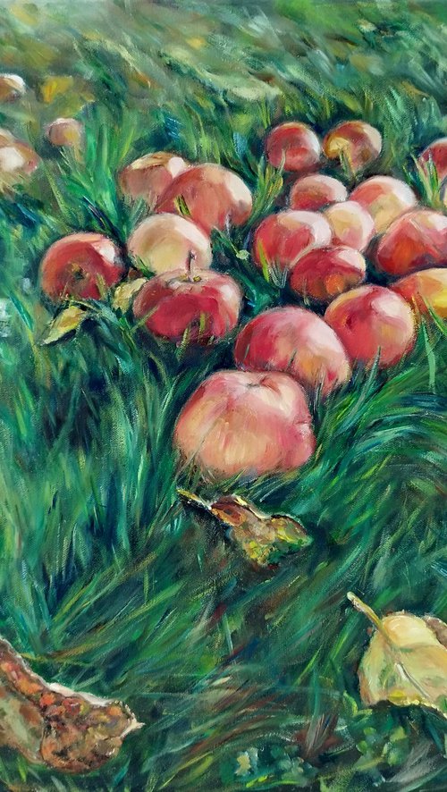 Red Apples On The Grass by Jura Kuba Art