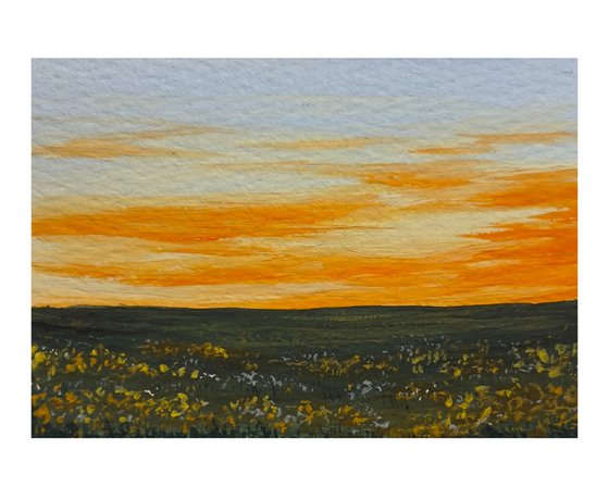 Blumenwiese im Abendrot - Miniature Art