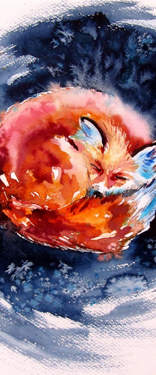Sleeping red fox by Kovács Anna Brigitta