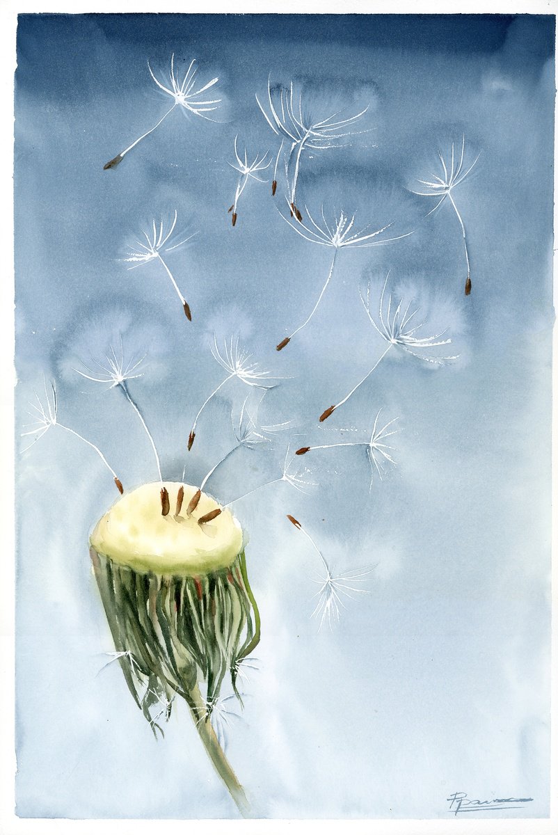 Impressionistic Botanical Watercolour By Olga Tchefranov (Shefranov), 12 X 18", Dandelion With Flying Seeds, Original Artwork