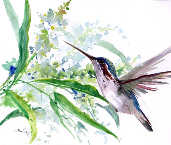 Hummingbird and Flowers