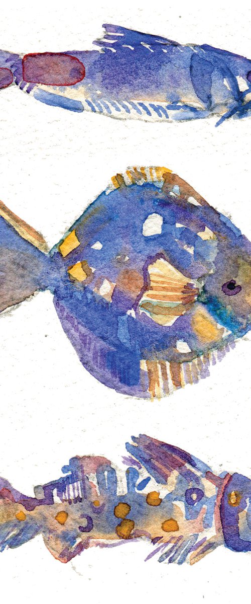Three Small Blue Fish watercolor painting by Hannah Clark