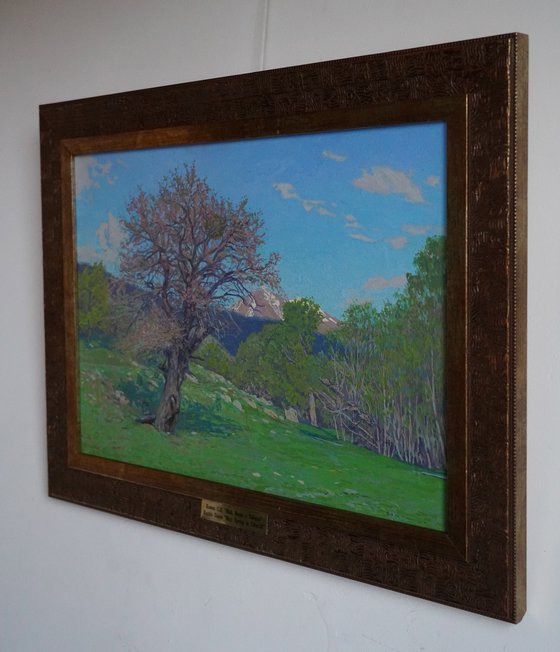 May. Spring in Teberda