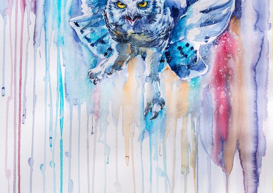 Snowy owl flying