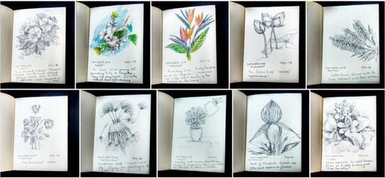 Sketchbook of 62 Inktober drawings 2017 & 2018