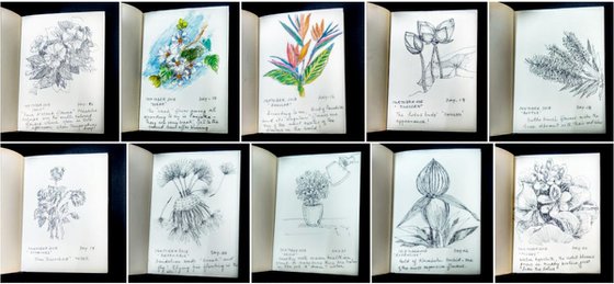 Sketchbook of 62 drawings