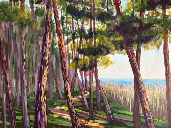 Walk Along the Coast