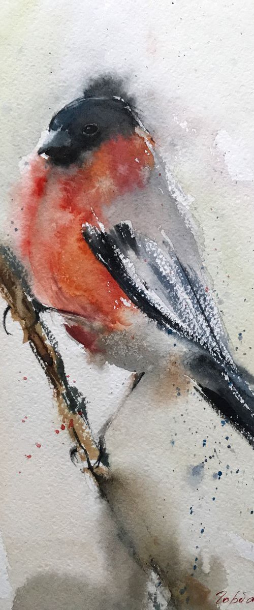 Bullfinch (small bird) - 20 x 29 cm by Eugenia Gorbacheva
