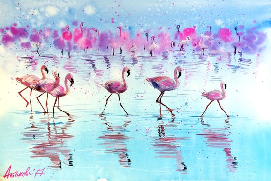 Pink Flamingos from Larnaca