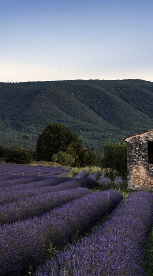 THE SUNSET OF PROVENCE II by Fabio Accorrà