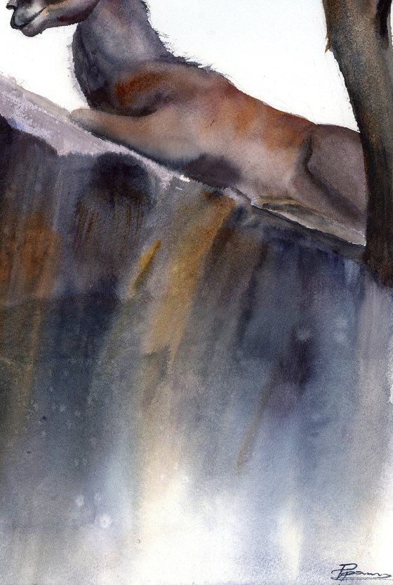 Resting Ibex on the Cliff