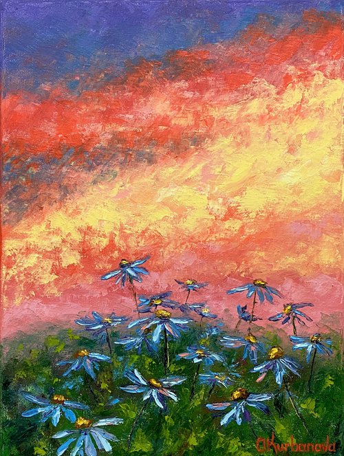Daisy field at sunset by Olga Kurbanova
