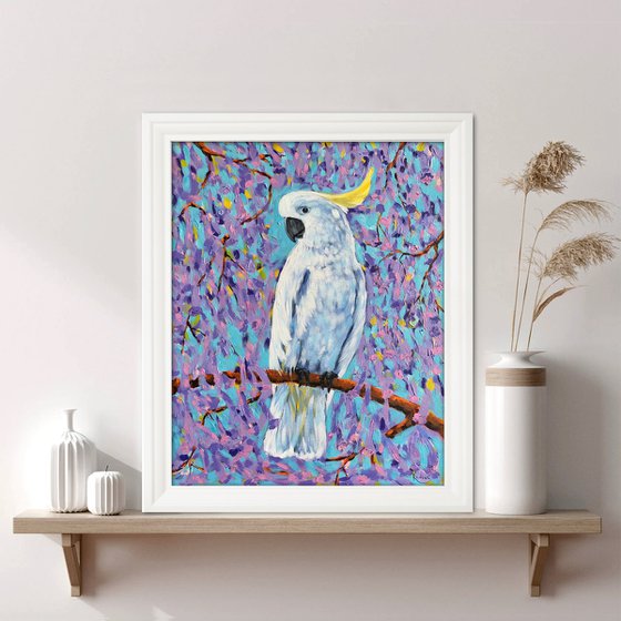 Cockatoo and Jacaranda