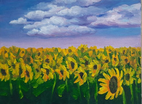 Sunflowers field by Julia Gogol