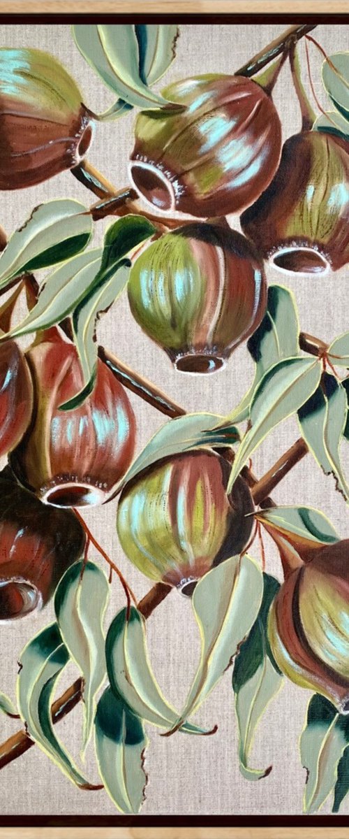 Gum Nut Harvest by Wendy Peters