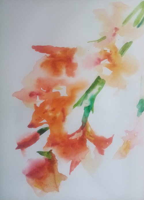 Gladiolus of salmon color 3 by Oxana Raduga