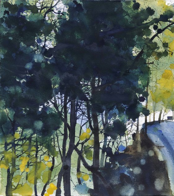 Road through sparkling forest