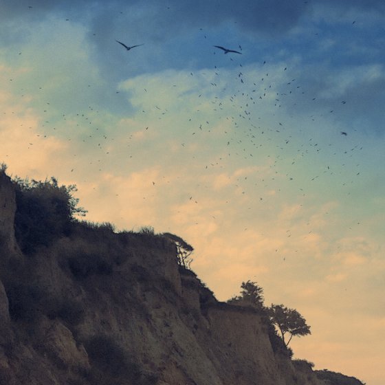 Evening at the seaside.