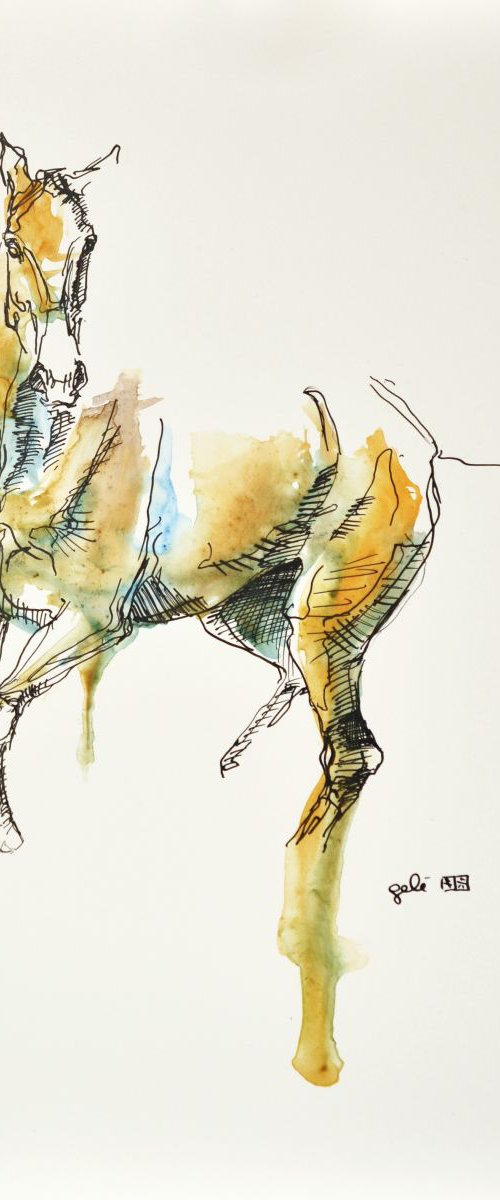 Equine Nude 141 by Benedicte Gele