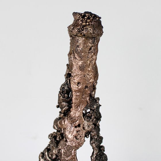 Champagne bottle 29-22