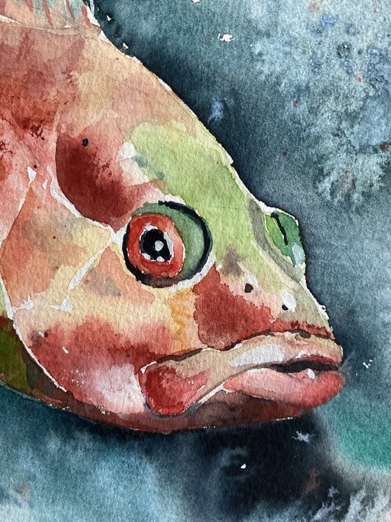 Sea devil, fish , magic