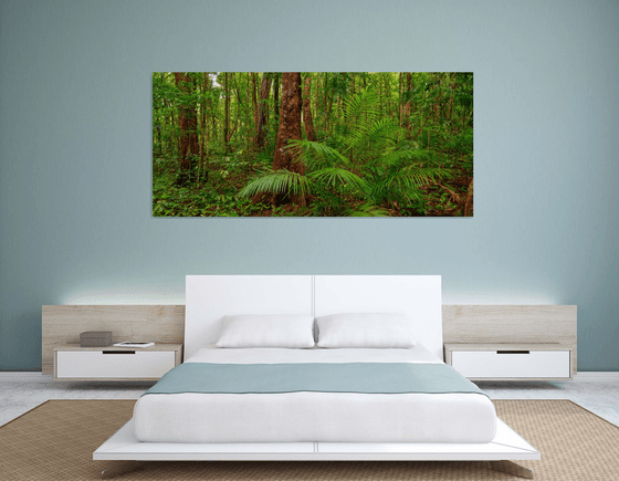 Daintree