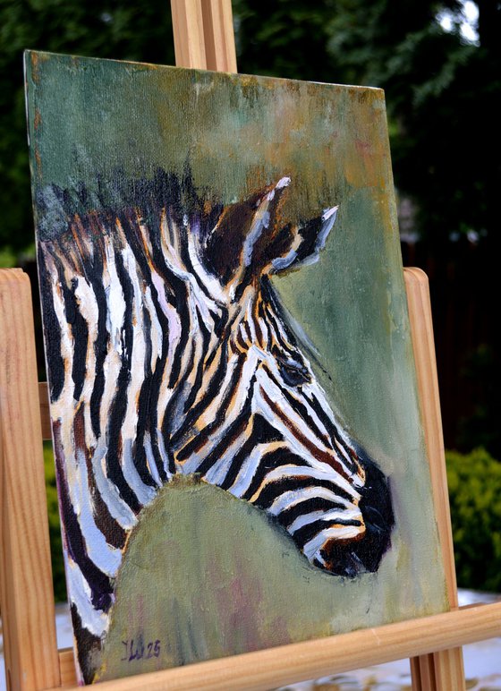 Zebra in profile