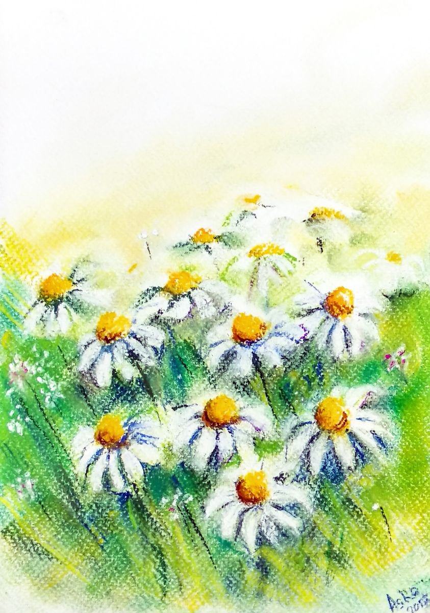 Daisies White Floral Pastel Daisies Painting -10x7 by Asha Shenoy