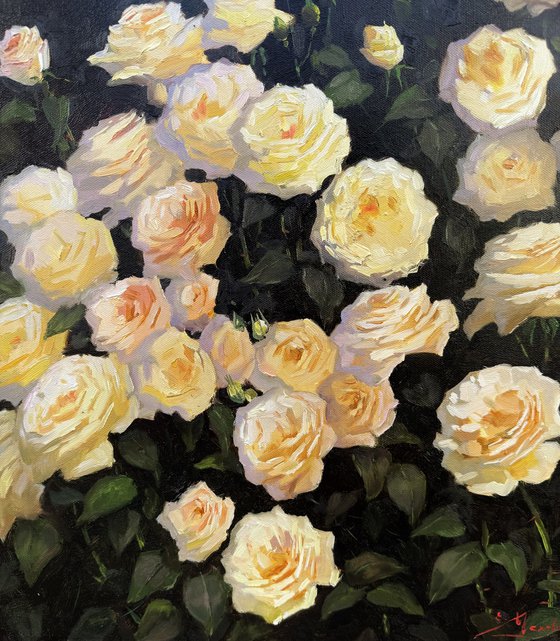 Yellow and Peach Roses