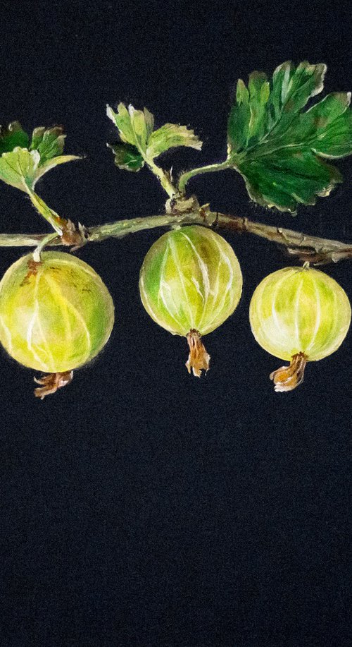 "THE GOOSEBERRY" by Tetiana Tiplova