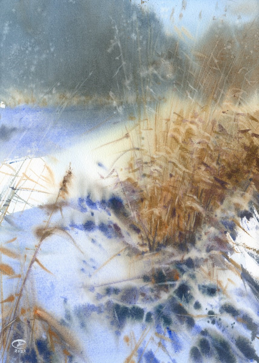 Winter landscape with dry grass. by Tatyana Tokareva