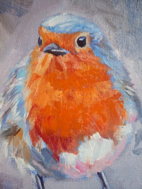 Robin Redbreast