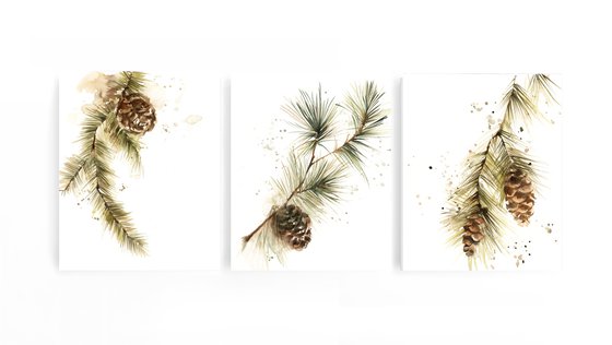 Pine Tree Branches with Pine Cones watercolor paintings 3 set