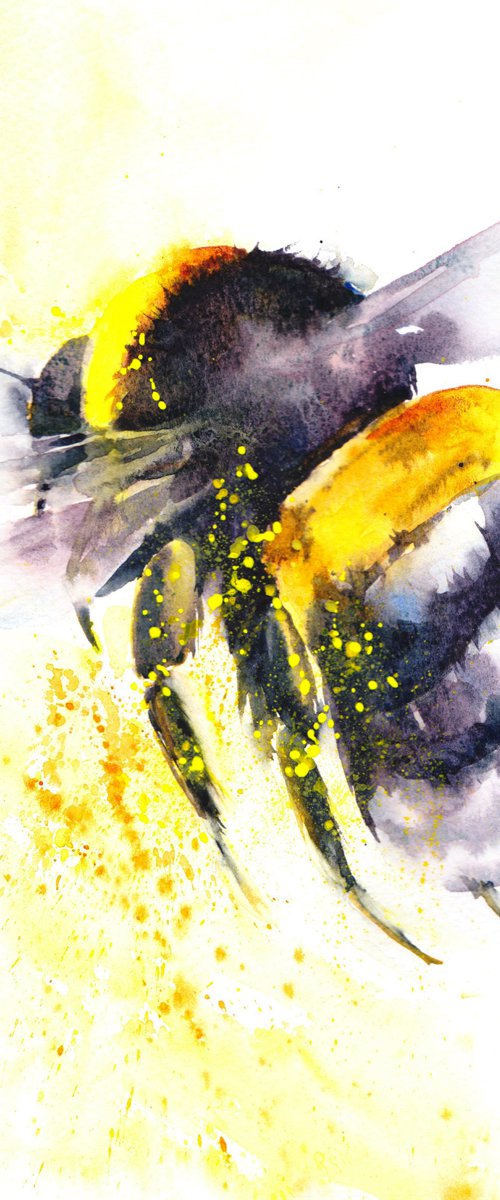 Bumblee by Anjana Cawdell