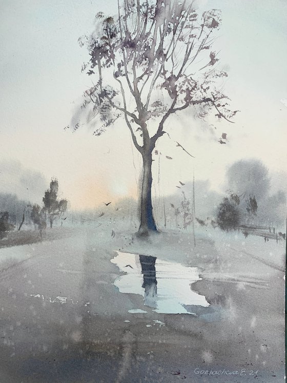 Morning fog