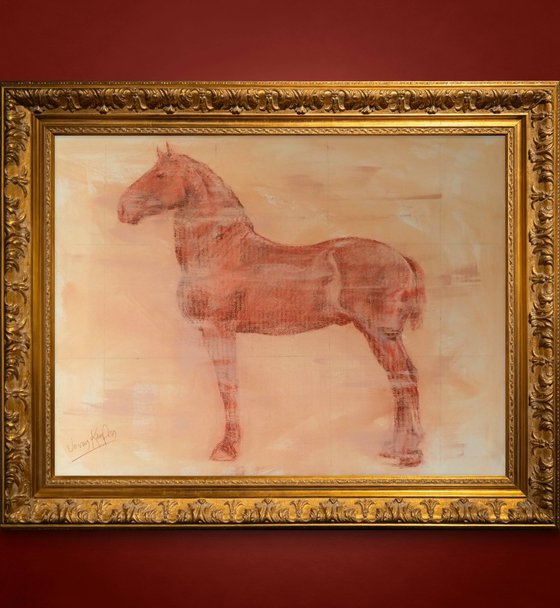 Percheron Stallion Study